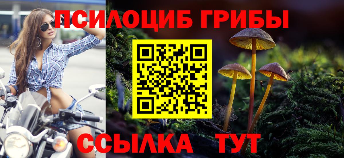 Псилоцибиновые грибы мицелий  Вход с VPN  Каспийск  Галлюциногенные грибы ЛСД 